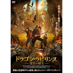 ドラゴン・ラビリンス 迷宮の秘宝（ＤＶＤ）