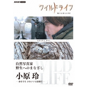 ワイルドライフ 自然写真家 野生へのまなざし 小原玲（ＤＶＤ）