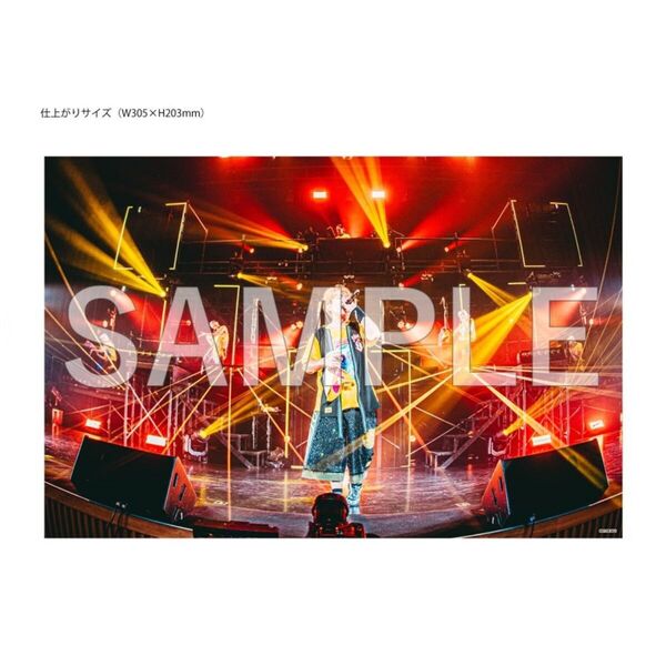 値下げ 遊助live DVD 10枚プラスミュージックビデオ1枚セット 値下げ