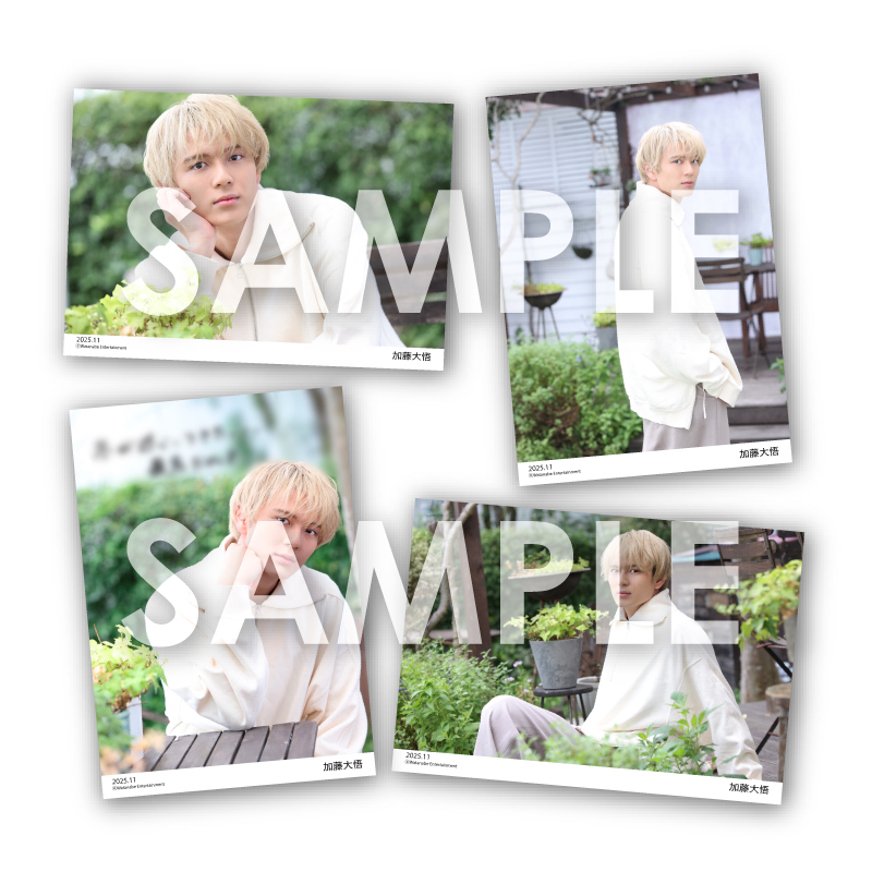 加藤大悟　ブロマイド約100枚　まとめ売り WEオフィシャルブロマイドセット～2025年11月～／加藤大悟 通販