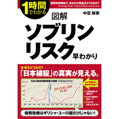 図解　ソブリンリスク早わかり