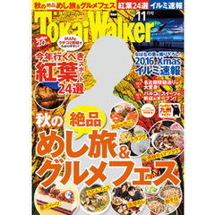 TokaiWalker東海ウォーカー　2016　11月号