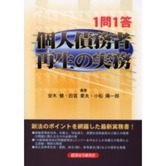 １問１答個人債務者再生の実務