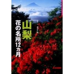 山梨花の名所１２カ月