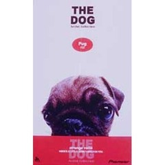 ビデオ　ＴＨＥ　ＤＯＧ　パグ