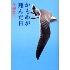 かもめが翔んだ日