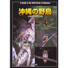 沖縄の野鳥