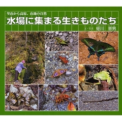 水場に集まる生きものたち