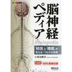 脳神経ペディア　カラー図解　「解剖」と「機能」が見える・つながる事典