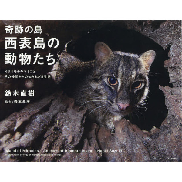 奇跡の島・西表島の動物たち　イリオモテヤマネコとその仲間たちの知られざる生態