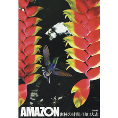 ＡＭＡＺＯＮ密林の時間
