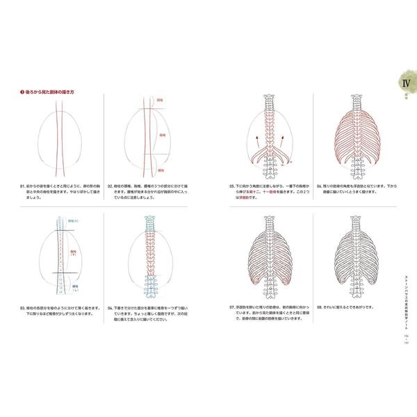 感謝価格 ソッカの美術解剖学ノート + お絵描き、ポージング、色塗り