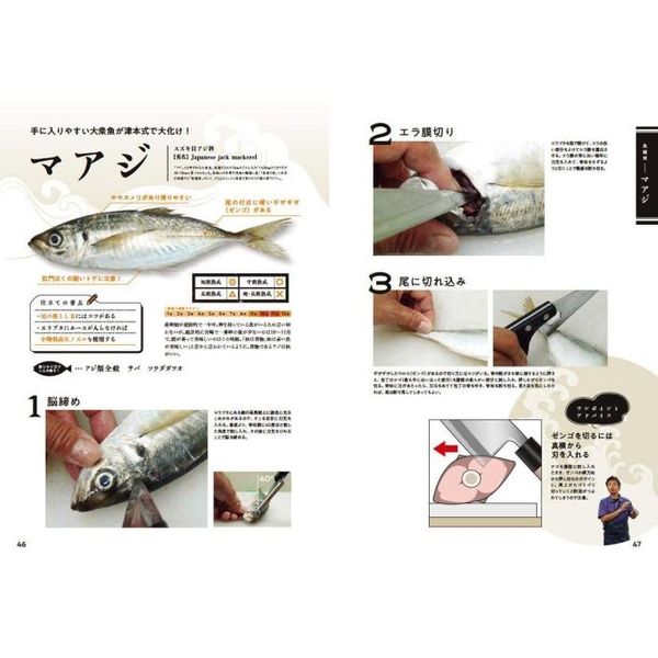 魚食革命 津本式 究極の血抜き 完全版 ルアマガブックス 7 通販 セブンネットショッピング