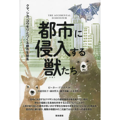 ֥ͥåȥåԥ󥰤㤨ԻԤ˿äޡȤĤԻַϡפβǤʤ2,970ߤˤʤޤ