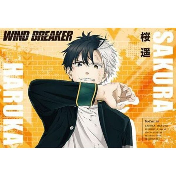 TVアニメWIND BREAKERポストカードブック