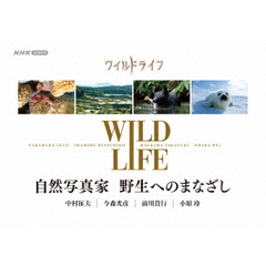 ワイルドライフ 自然写真家 野生へのまなざし DVD-BOX（ＤＶＤ）