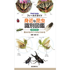 増補改訂新版 身近な昆虫識別図鑑：見わけるポイントがよくわかる