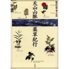 天山山脈薬草紀行
