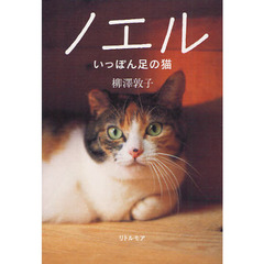 ノエル　いっぽん足の猫