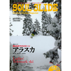 DVD付 ソウルスライド2013 (SJテクニックシリーズ No. 12)