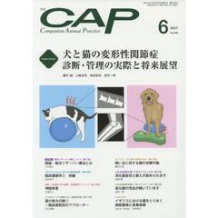 ＣＡＰ　３３６