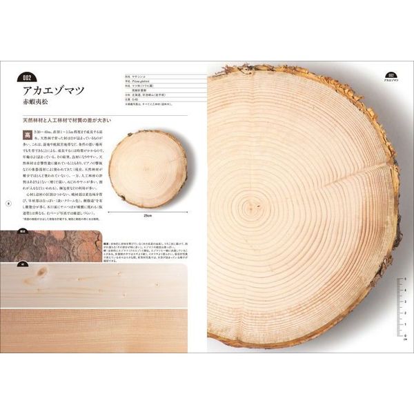 板目・柾目・木口がわかる木の図鑑　日本の有用種１０１