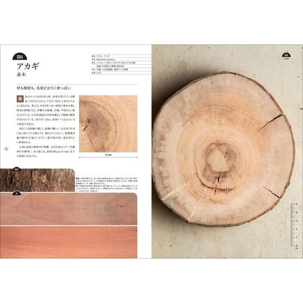 西川栄明板目・柾目・木口がわかる木の図鑑 : 日本の有用種101