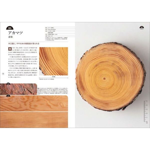 板目・柾目・木口がわかる木の図鑑　日本の有用種１０１