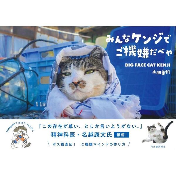 みんなケンジでご機嫌だべや BIG FACE CAT KENJI 通販