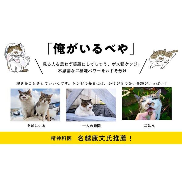 ねこ 他の人はか購入しないでください 楽天市場】毎日脳活スペシャル 超にゃん問！ ねこのまちがいさがし
