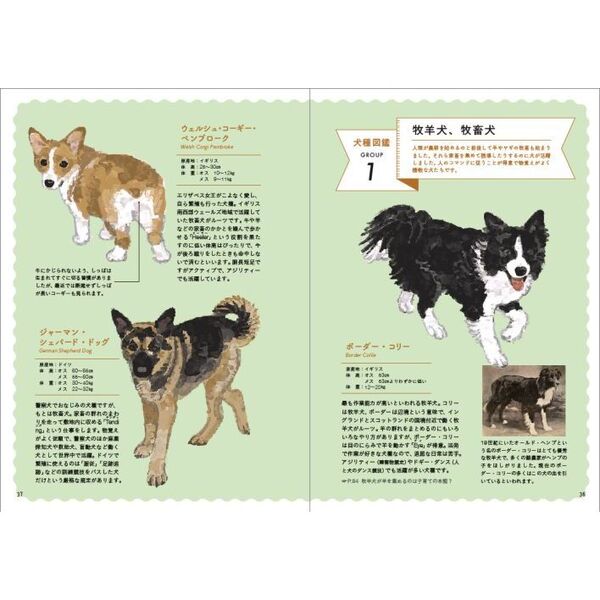教養としての犬 思わず人に話したくなる犬知識130 通販｜セブン