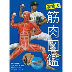 実物大筋肉図鑑
