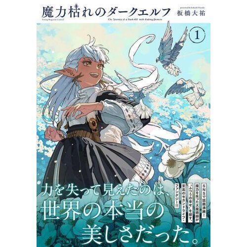 魔力枯れのダークエルフ 1 通販｜セブンネットショッピング