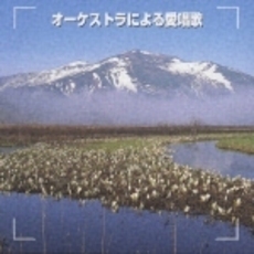 決定版！　オーケストラによる愛唱歌