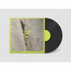 クローズ・アップ・オン・ジ・アウトサイド