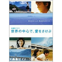 世界の中心で、愛をさけぶ　3（ＤＶＤ）