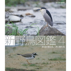 Blu-ray 新 野鳥図鑑 第4集 水辺に棲む鳥／渚に棲む鳥（Ｂｌｕ－ｒａｙ）