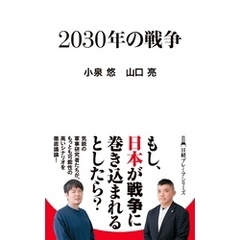 ２０３０年の戦争