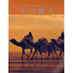 現代の日本画　１２　平山郁夫