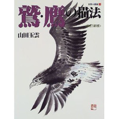 玉雲水墨画　第１１巻　鷲・鷹の描法　改訂新版