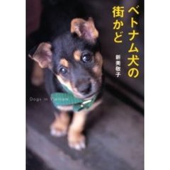 ベトナム犬の街かど