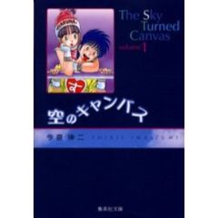 空のキャンバス　全巻セット　（全5巻）