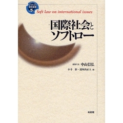 国際社会とソフトロー