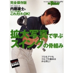 拡大写真で学ぶスイングの骨組み　ツアープロコーチ内藤雄士のスイングの基本これだけでＯＫ！　ゴルフトゥデイレッスンＢＯＯＫ