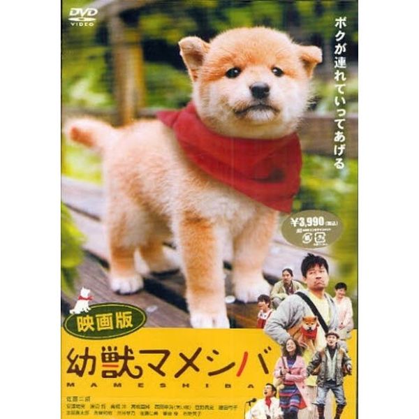 幼獣マメシバBOX〈4枚組〉 Amazon.co.jp: 幼獣マメシバ DVD-BOX : 佐藤二朗, 高橋洋, 藤田