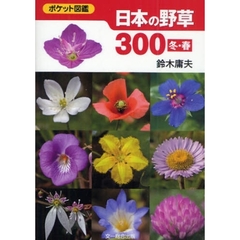 日本の野草３００　冬・春