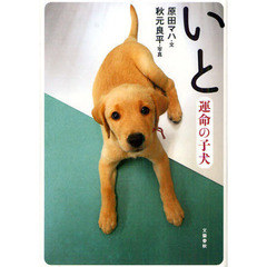 いと　運命の子犬