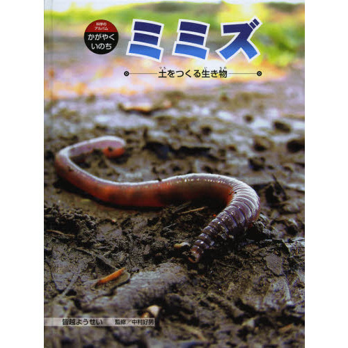ミミズの生活を調べよう (やさしい科学 4) ミミズの生活を調べよう (やさしい科学 4) ミミズの生活を調べ