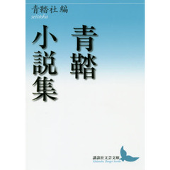 青鞜小説集