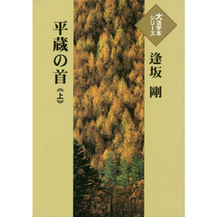 平蔵の首　上